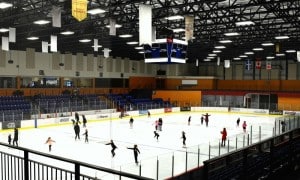 Patinage et hockey libre