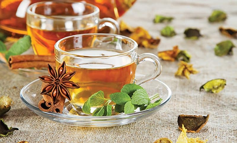Tea cup with fresh mint leaves